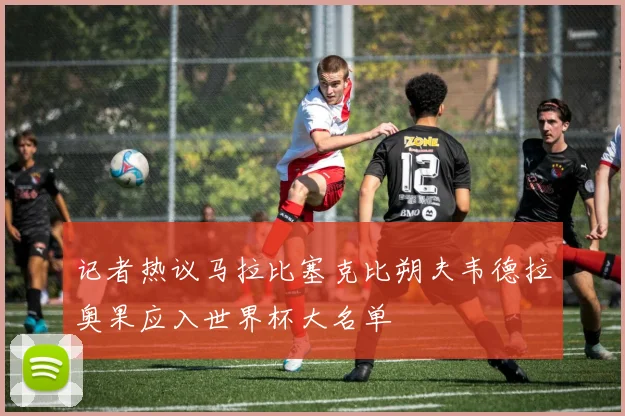 记者热议马拉比塞克比朔夫韦德拉奥果应入世界杯大名单