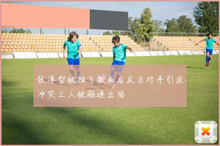 张淳智被推飞数米后反击对手引发冲突三人被驱逐出场